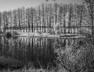 ИНФРАКРАСНЫЙ ПЕЙЗАЖ