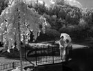 Невидимая сказка. Инфракрасная свадебная фотография