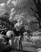 Невидимая сказка. Инфракрасная свадебная фотография