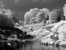 Невидимая сказка. Инфракрасная свадебная фотография - Новые территории Софиевского парка в Умани поражают своими просторами (съемка велась с расстояния 400 метров)