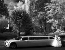 Невидимая сказка. Инфракрасная свадебная фотография