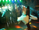 Свадебное 2010 (1)