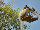 Свадебное 2010 (1)