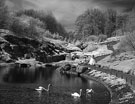 Невидимая сказка. Инфракрасная свадебная фотография