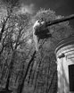 Невидимая сказка. Инфракрасная свадебная фотография