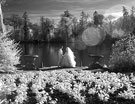 Невидимая сказка. Инфракрасная свадебная фотография