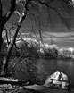 Невидимая сказка. Инфракрасная свадебная фотография