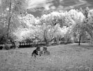 Невидимая сказка. Инфракрасная свадебная фотография