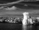  Галерея: ОСЕННИЕ МОНОКЛЕВЫЕ ЭТЮДЫ (25 Фото)