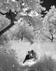 Невидимая сказка. Инфракрасная свадебная фотография