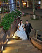 Night Love Story & Wedding