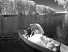 Невидимая сказка. Инфракрасная свадебная фотография