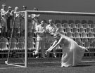 Невидимая сказка. Инфракрасная свадебная фотография