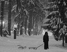 РАБОТЫ СТУДЕНТОВ И СЛУШАТЕЛЕЙ МАСТЕР-КЛАССОВ ЗОРИЯ ФАЙНА - Автор - Инна Дмитренко (15 лет)