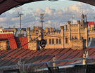 RIGA
