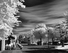 Jūrmala infrared - Юрмала в инфракрасном свете Галерея: Jurmala infrared (20 Фото)