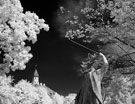 Jurmala infrared - Jūrmala infrared - Юрмала в инфракрасном свете