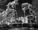 Jurmala infrared - Фотографии Юрмалы
