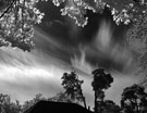 Jurmala infrared - Небо над Юрмалой