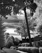 Jurmala infrared - Jūrmala infrared - Юрмала в инфракрасном свете
