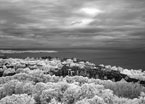 One Day In TALLINN