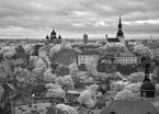 One Day In TALLINN