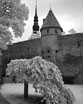 One Day In TALLINN