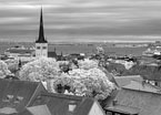 One Day In TALLINN