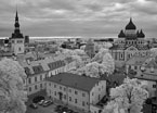 One Day In TALLINN