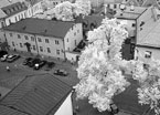 One Day In TALLINN