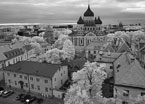 One Day In TALLINN