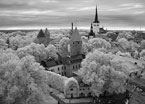 One Day In TALLINN