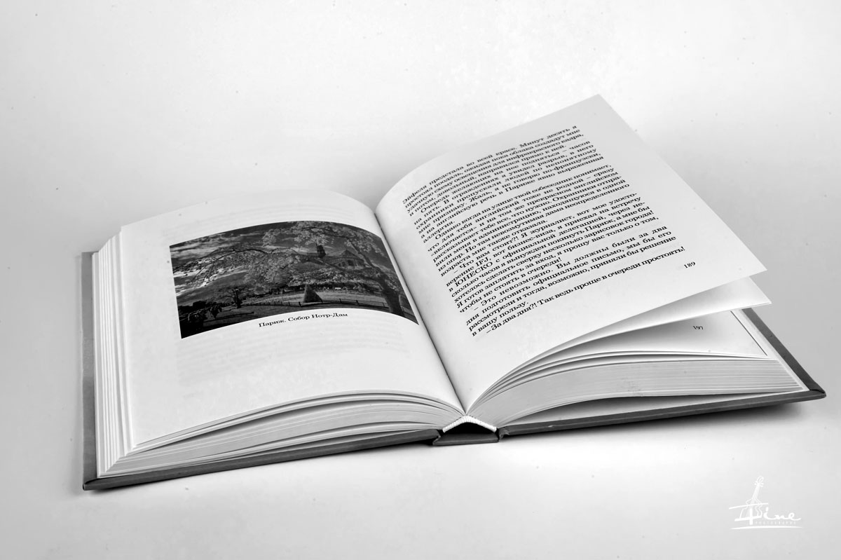 Книга Зория Файна эссе