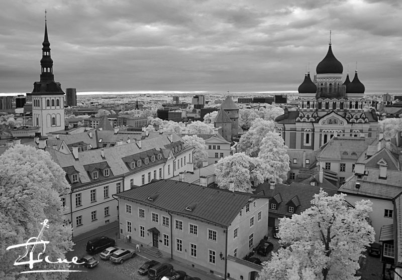 Вид с башни Домского собора